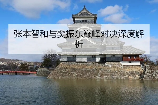 张本智和与樊振东巅峰对决深度解析